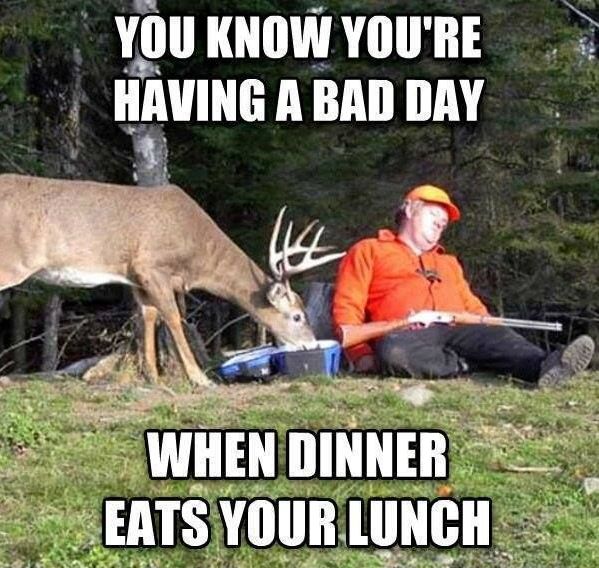 You-know-youre-having-a-bad-day-when.jpg.7d6481be36cf45020bd8ae76899b7e58.jpg