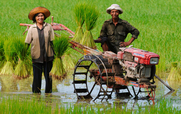 farm-stay-thailand(1).jpg.ba854b1267d4b29619297bbf84535184.jpg