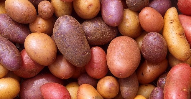 potatoes-648x336.jpg