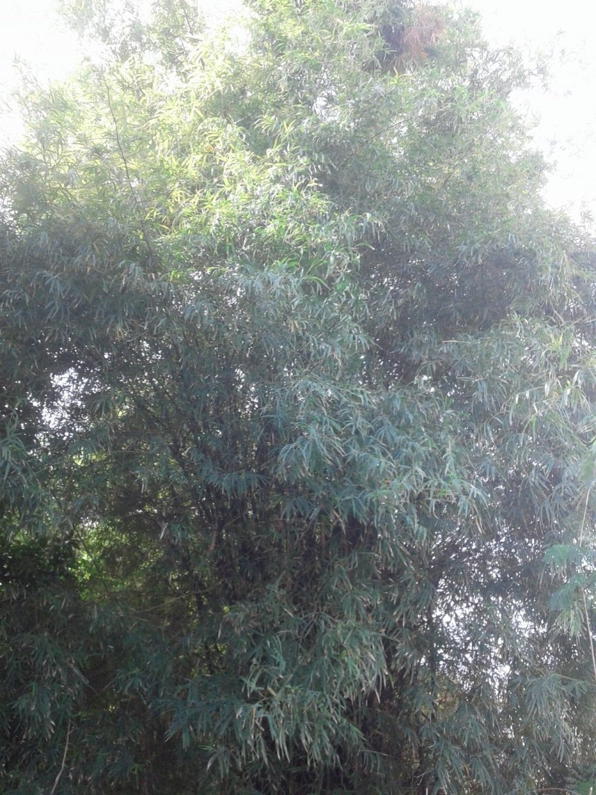 20171015_093004.jpg