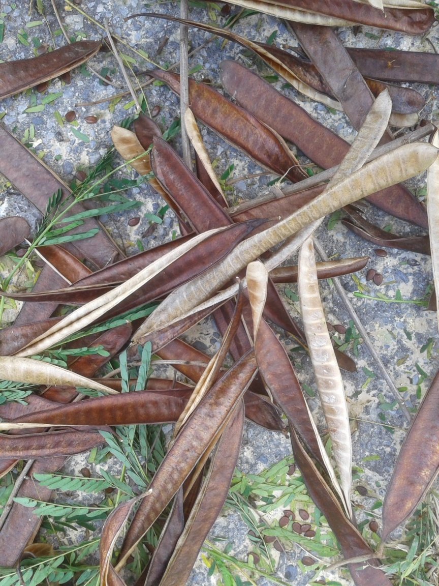 20171015_093014.jpg