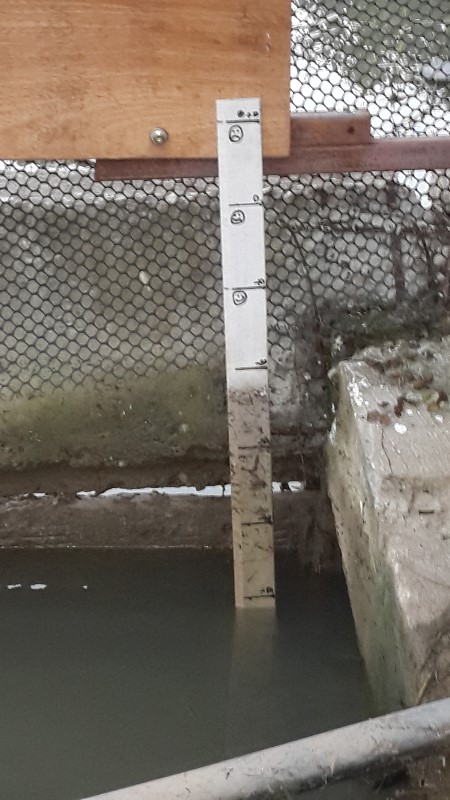 20171029_060628d.jpg