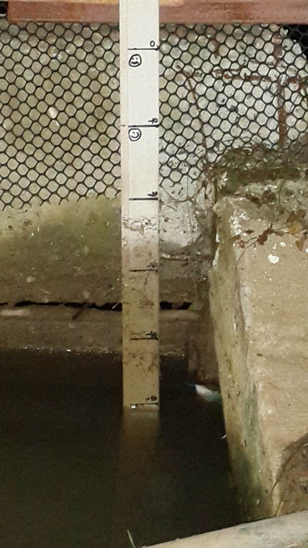 20171030_053827d.jpg