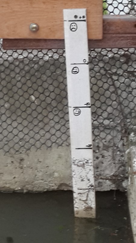 20171030_174328d.jpg