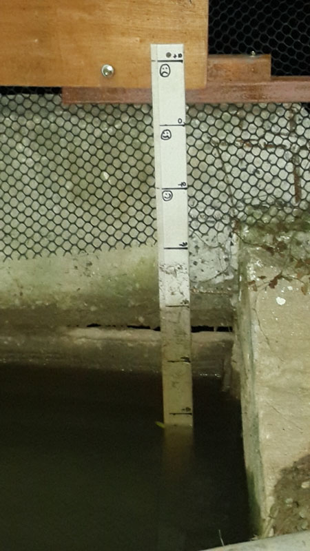 20171031_054222d.jpg