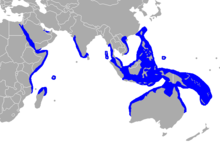 220px-Dugong-range.png.aeb3319e4140d9b545b4ca8ba7430c2c.png