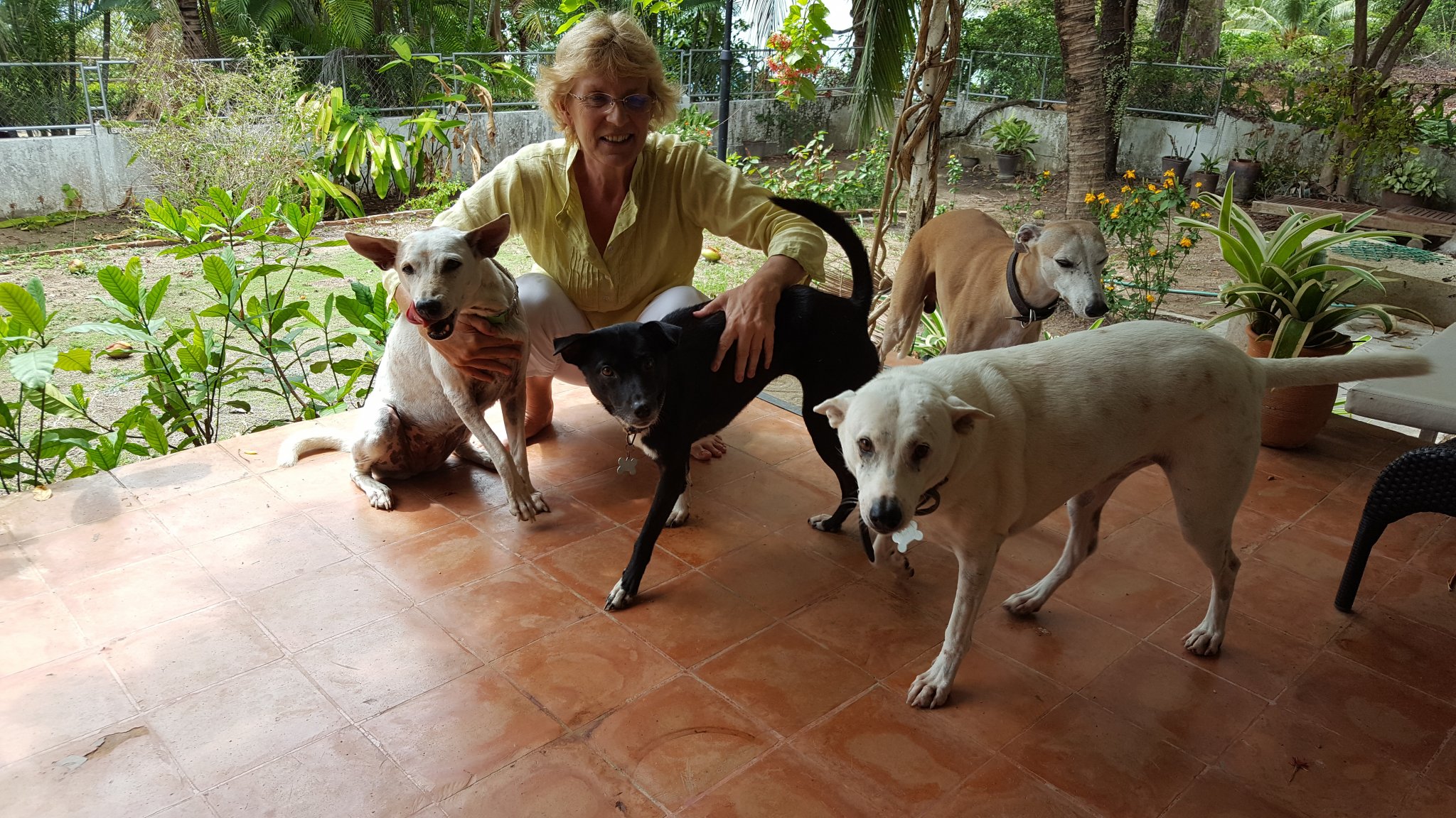 59d1ccee2524a_DogsandI.thumb.jpg.1f6337e2942d64e36f57ffb58864b035.jpg