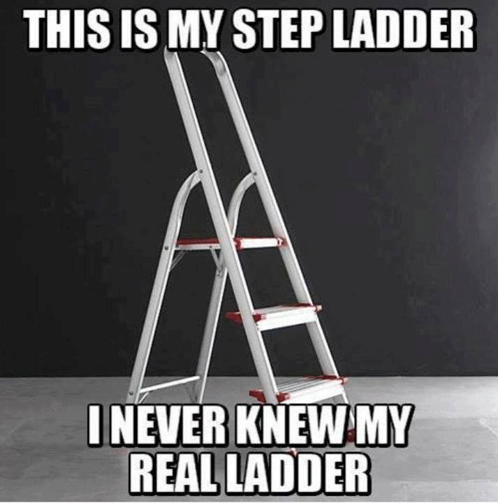 59dc7593e04ef_stepladder.jpg.804f820c25069f75e99f3df74ace8157.jpg
