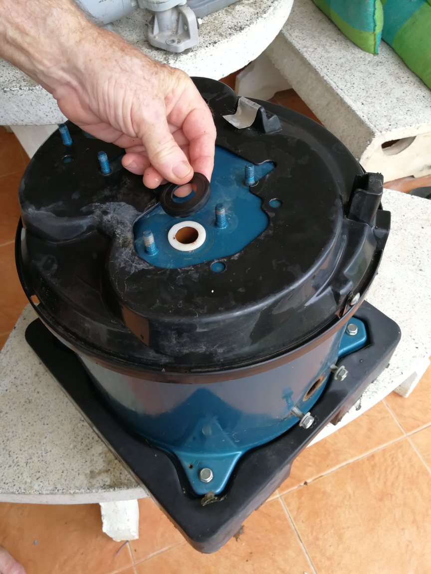 7 only gasket.jpg
