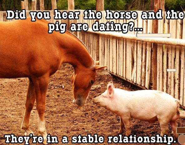 59eaedfb16e58_horsepig.jpg.846797603406c1cc910aac1ad58258b6.jpg