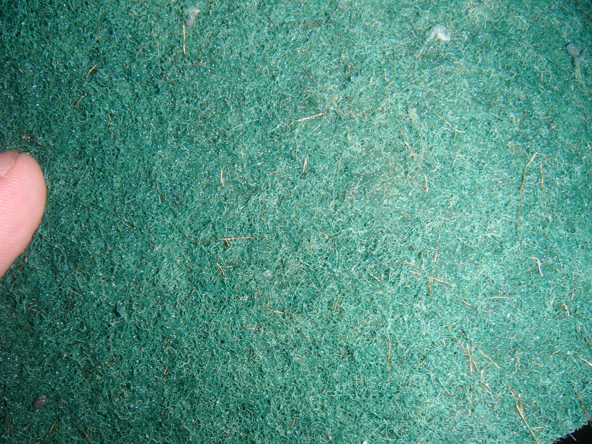 DSCF2122.JPG