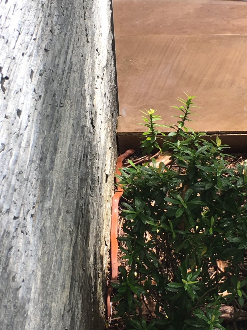 S__6520910.jpg