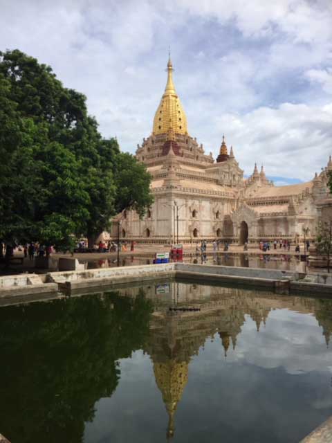 image1.jpg