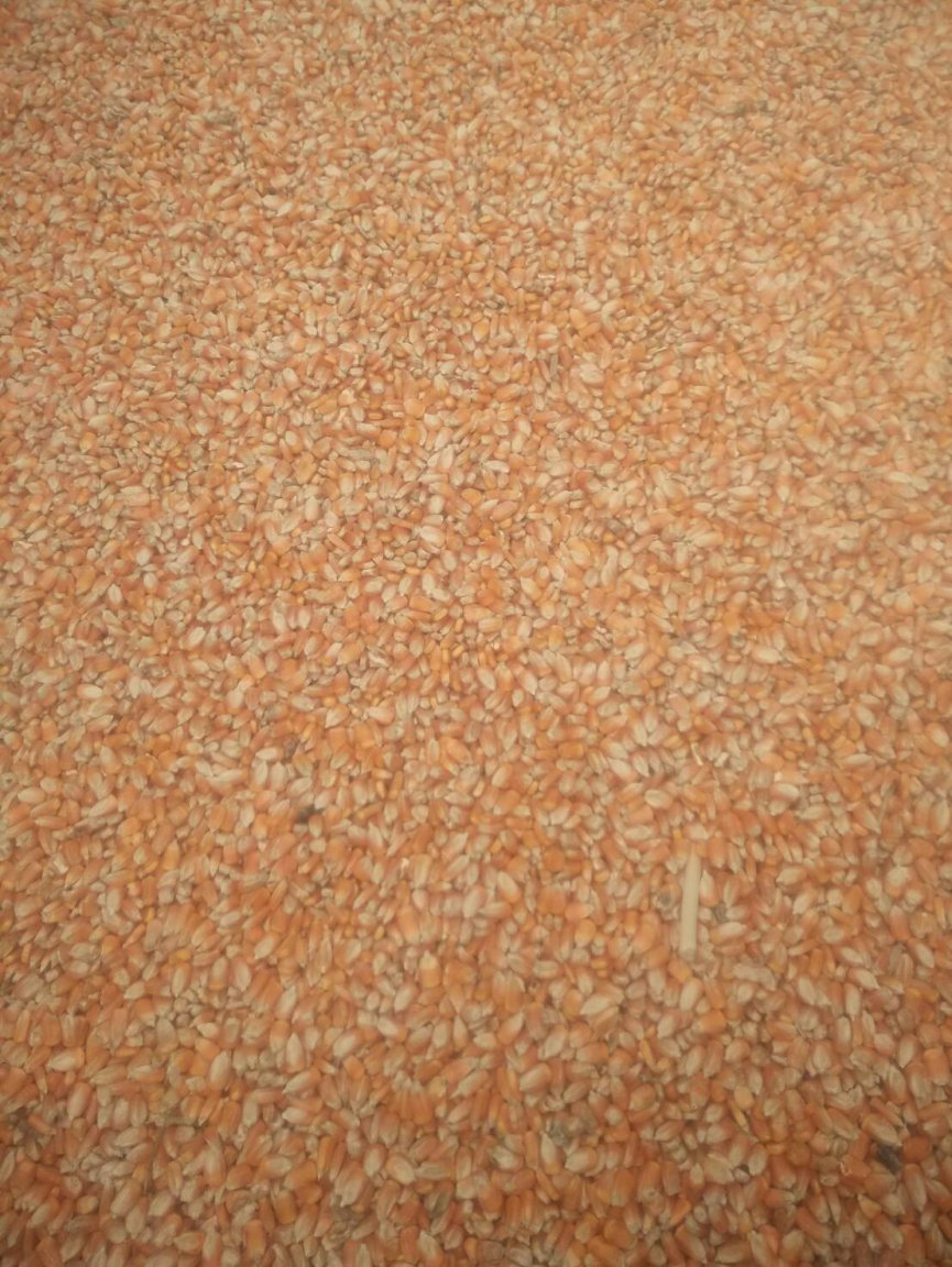 1510737828577.jpg