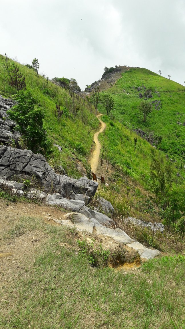 20160710_124748.jpg