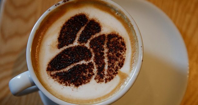 2017-11-22T235517Z_1_LYNXMPEDAL1SB_RTROPTP_4_HEALTH-COFFEE-634x336.jpg