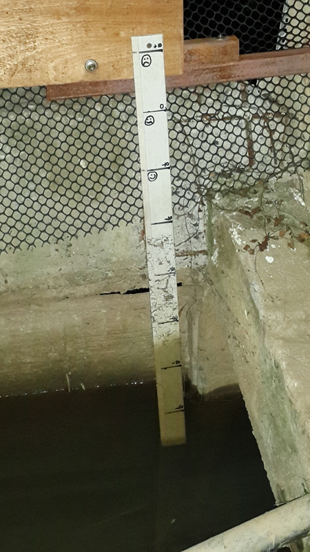 20171102_053609d.jpg