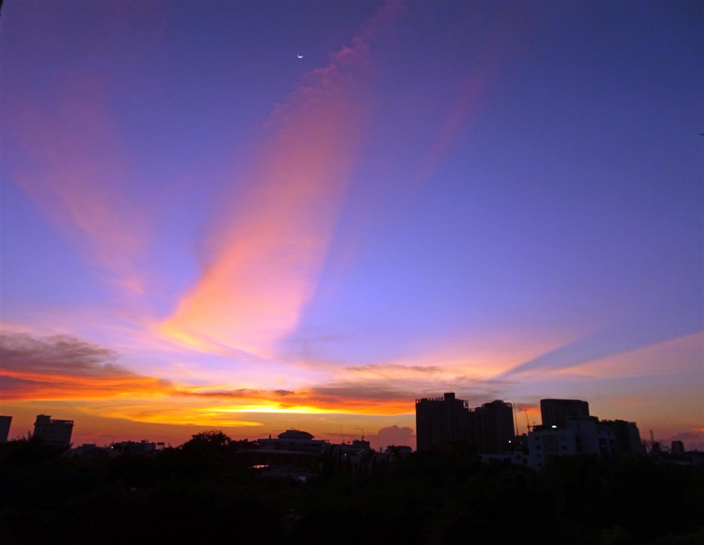 59f9a7098f648_DSC03512(Large).JPG.5843278032991fc33c4d76eb3eb2d30b.JPG