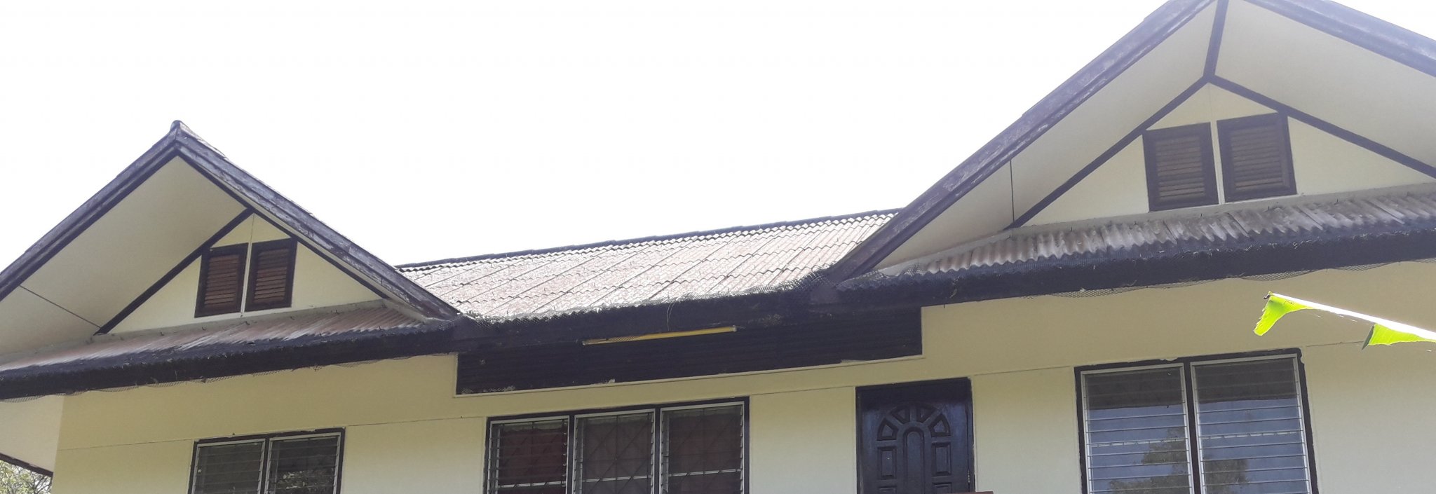 house bacj view.jpg