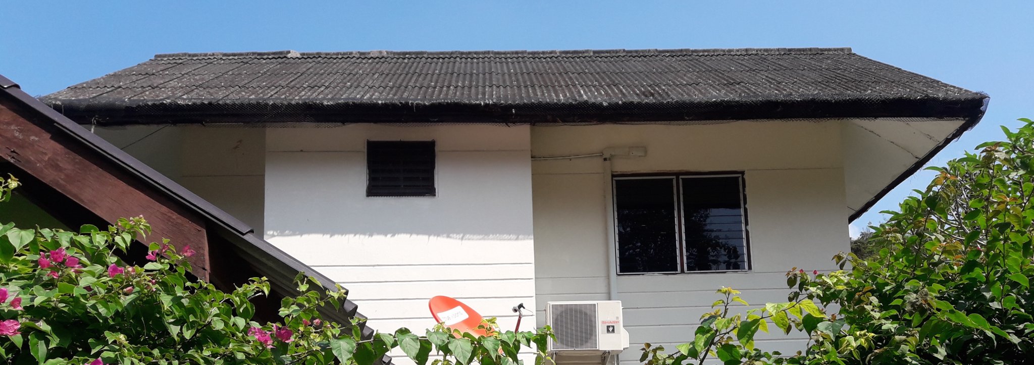 house side view.jpg