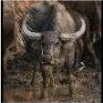 ubonjoe old avatar.gif