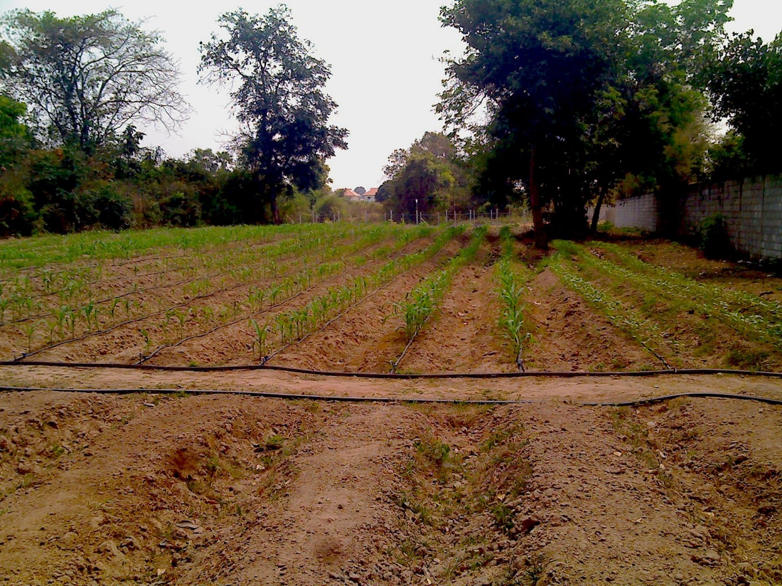 0229_131735 copy.jpg