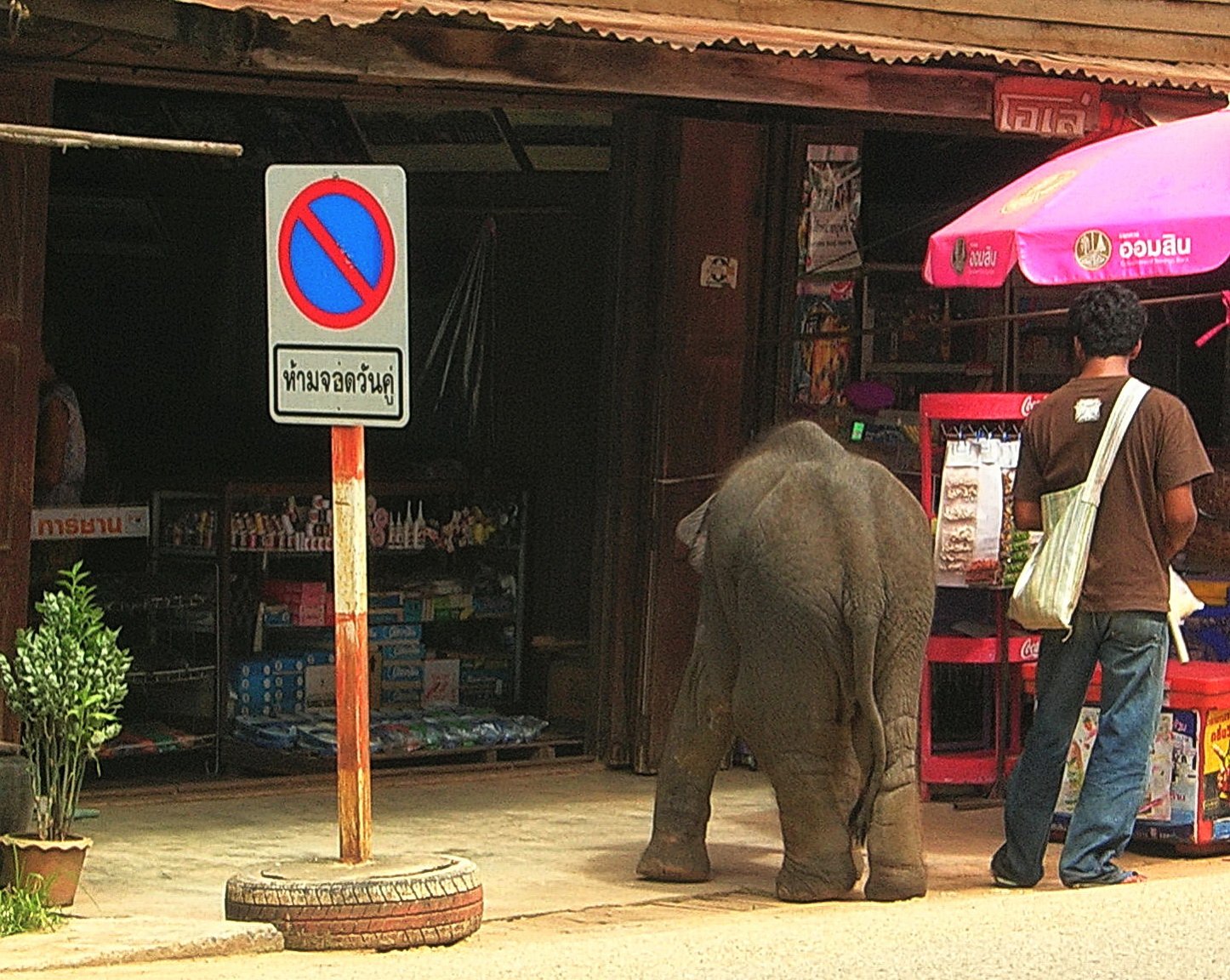 DSCN3680.JPG
