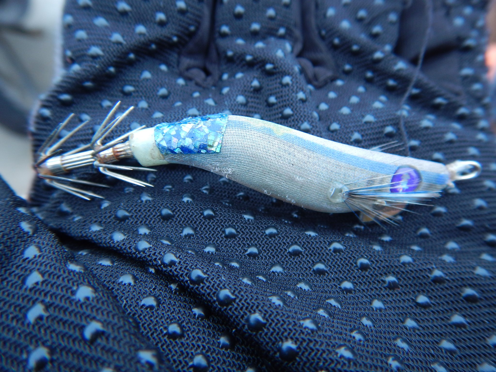 DSCN3820.thumb.JPG.24e60f7ba74c42a4a5e3aa353294b3c9.JPG