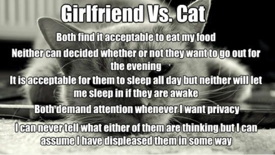 Girlfriend-vs_-cat-quote.jpg.4ddb8cb02d9fb9075769bef7c02b6b8f.jpg