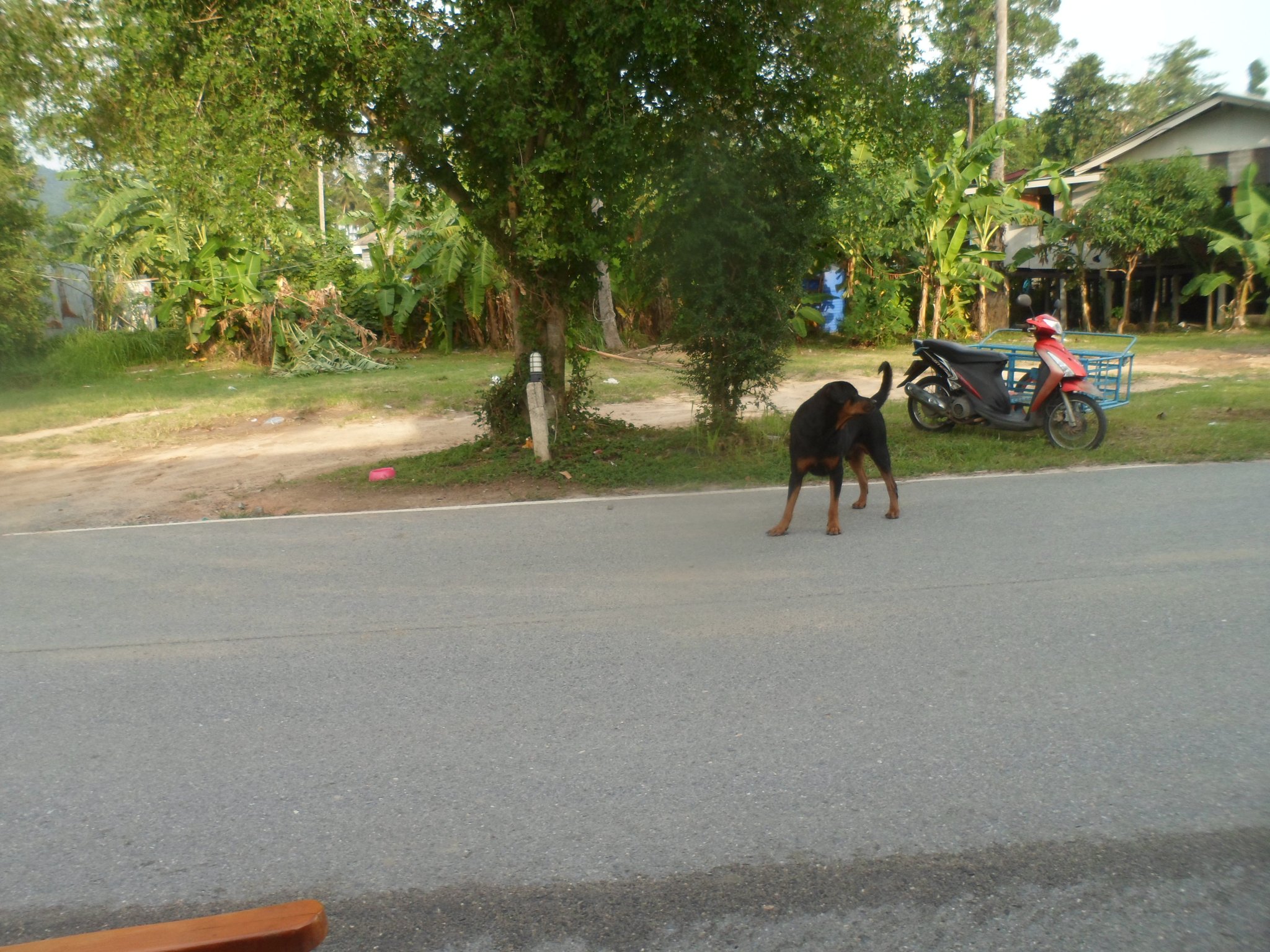 SAM_0077.thumb.JPG.0944c4b15c137ff8eacaf0bf44ff8abd.JPG