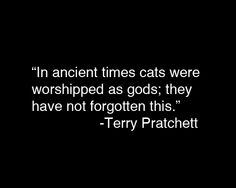 catsgods.jpg.f96814997e6f3bd71f49e2b2b2018336.jpg