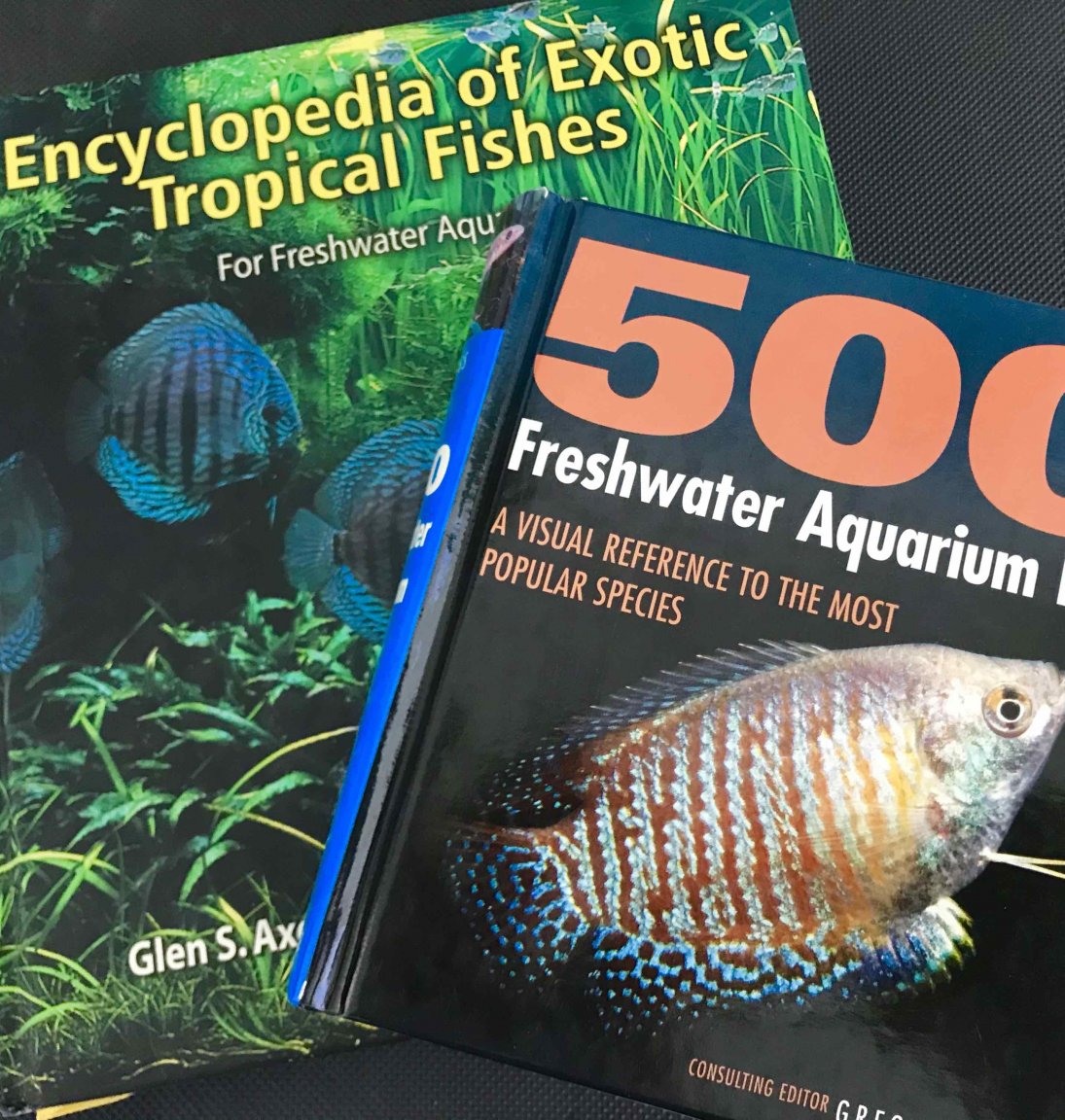 fts1.jpg