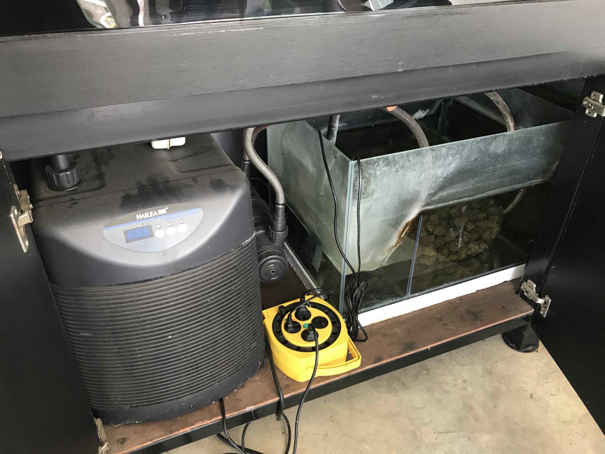 fts2.jpg