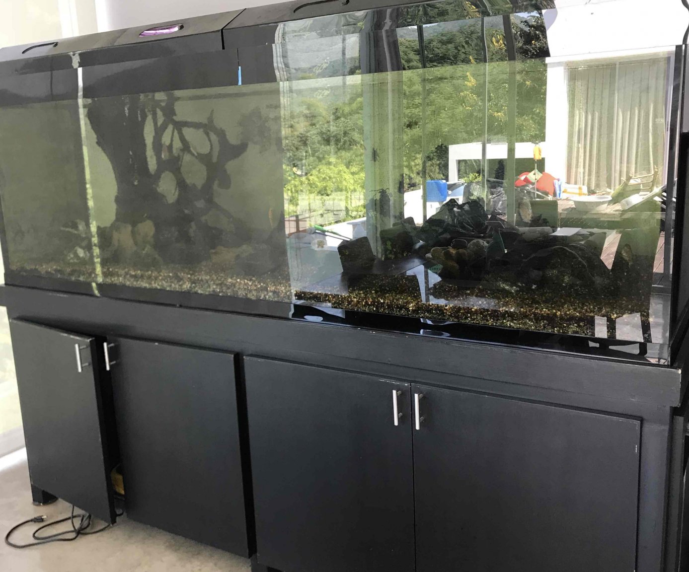 fts4.jpg