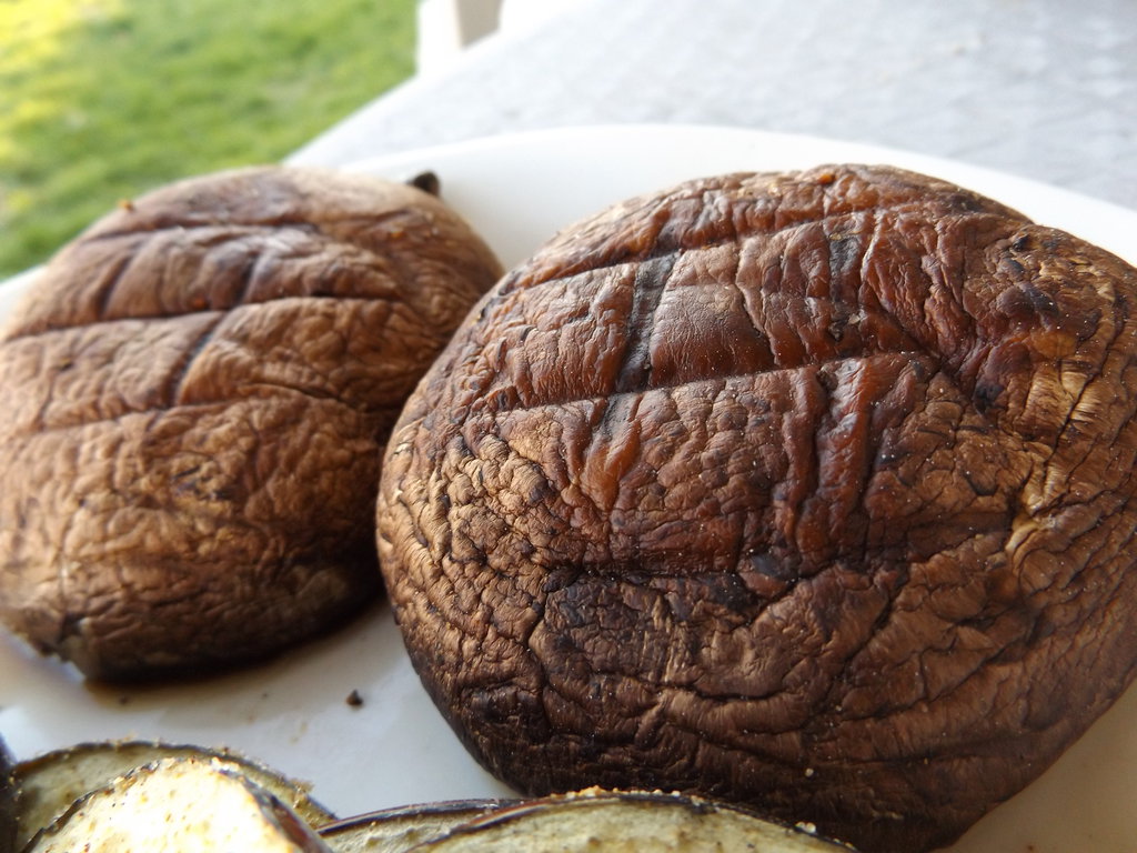 grilled_portabello_mushrooms_by_hoboist-d9vpfjk.jpg.549bd7fcb2c16ed57af2610c3eb6a190.jpg