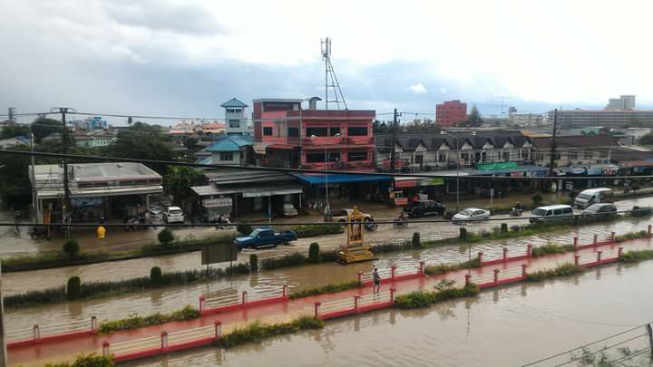h11.jpg