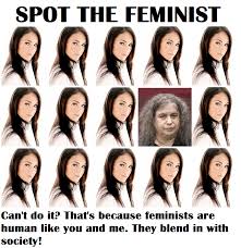 image.jpeg.94526ad2bef0050fde57c420d9e762ea.jpeg