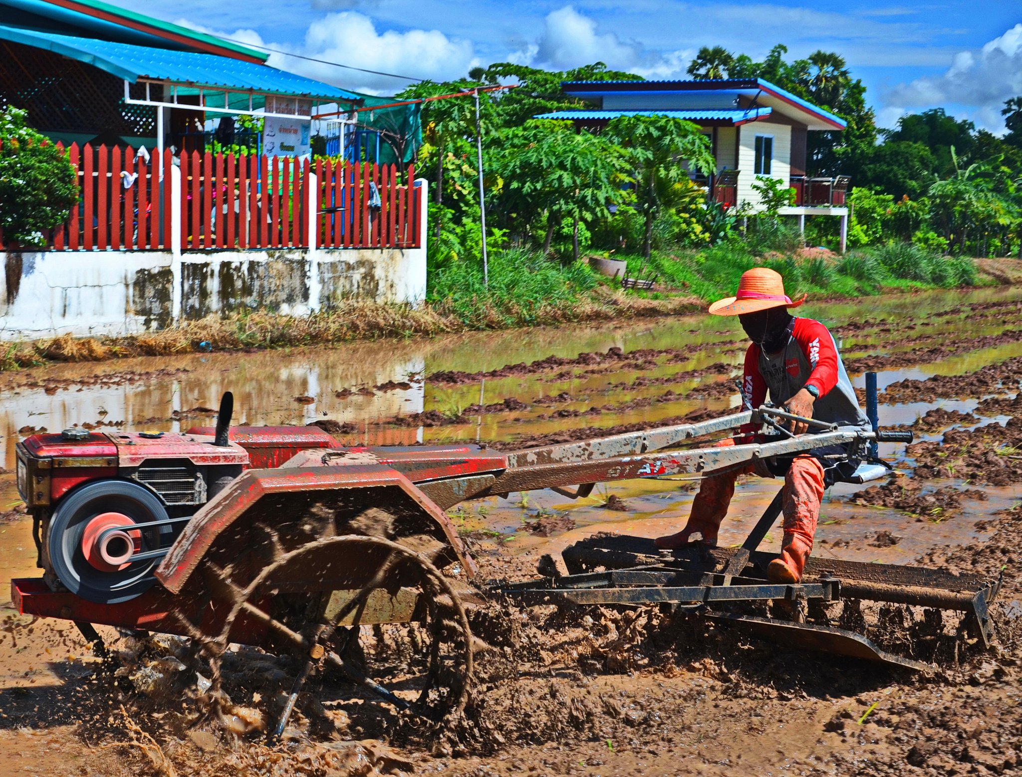tractor.jpg