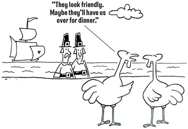turkey-dinner.jpg.41be67887c6a268eaa529dece3720f1d.jpg