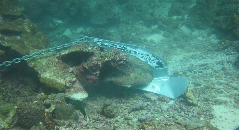 1513936276_1-org.jpg