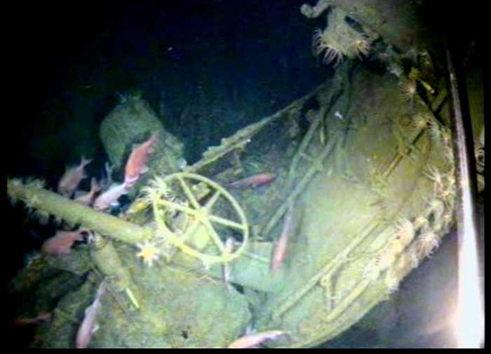 2017-12-21T073925Z_1_LYNXMPEDBK0HB_RTROPTP_4_AUSTRALIA-WAR-ARCHAEOLOGY.JPG