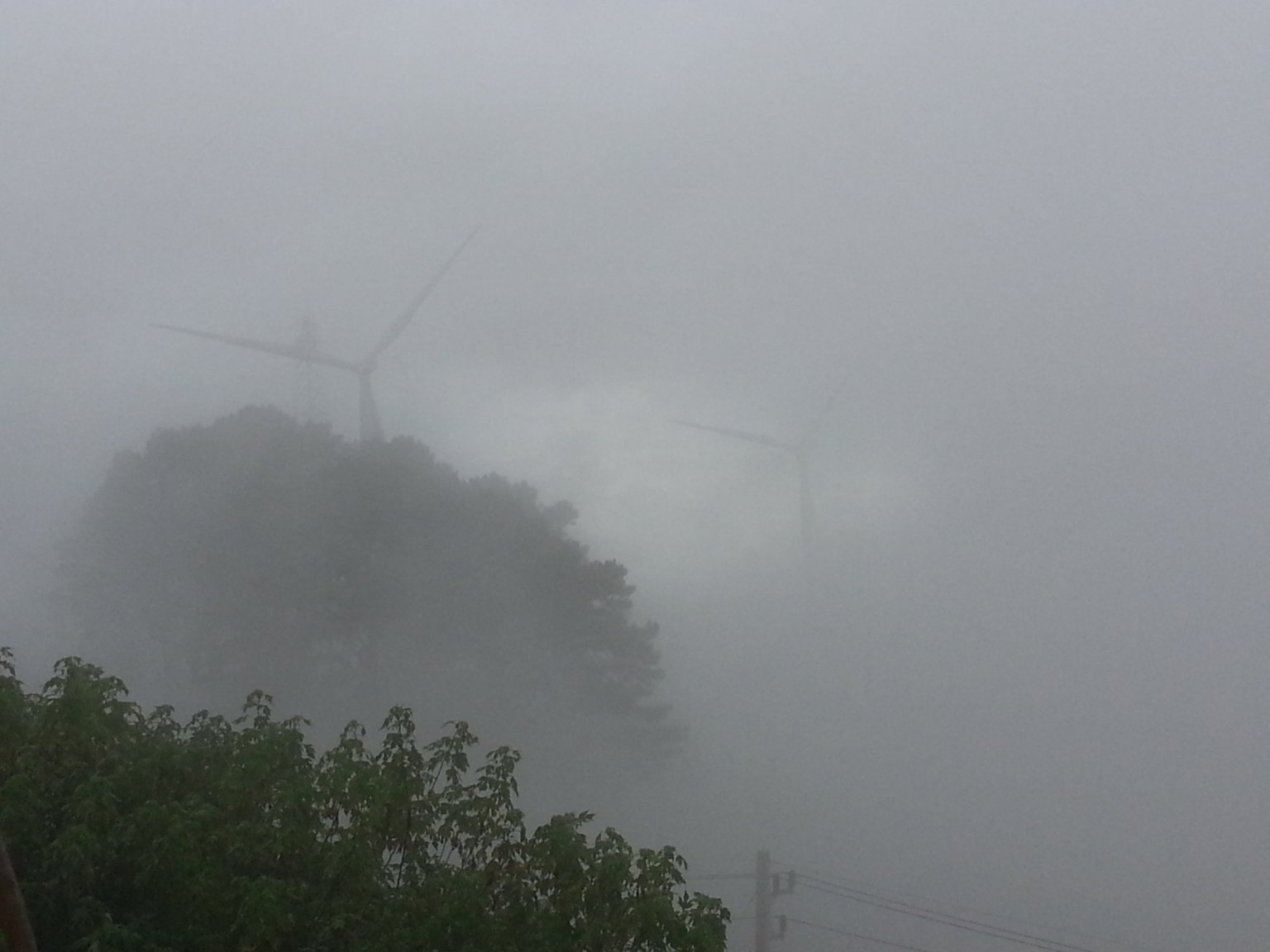 20171005_160221.jpg