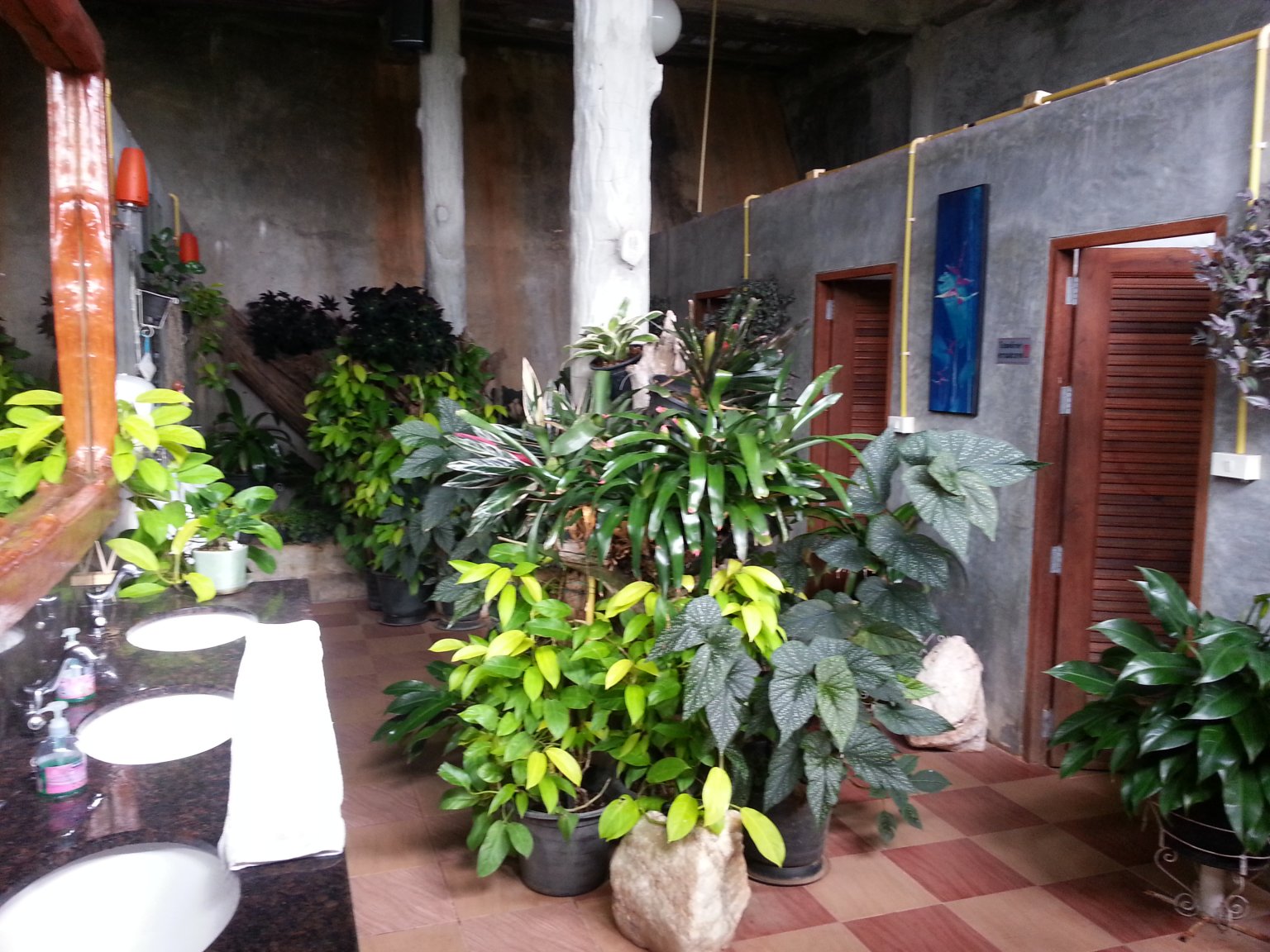 20171006_092207.jpg