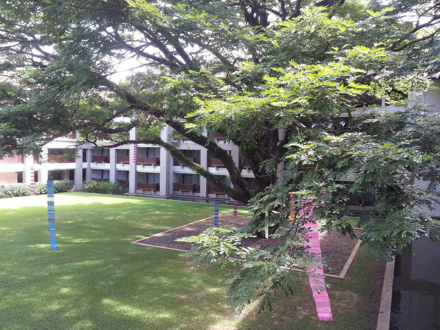 20171010_102609.jpg