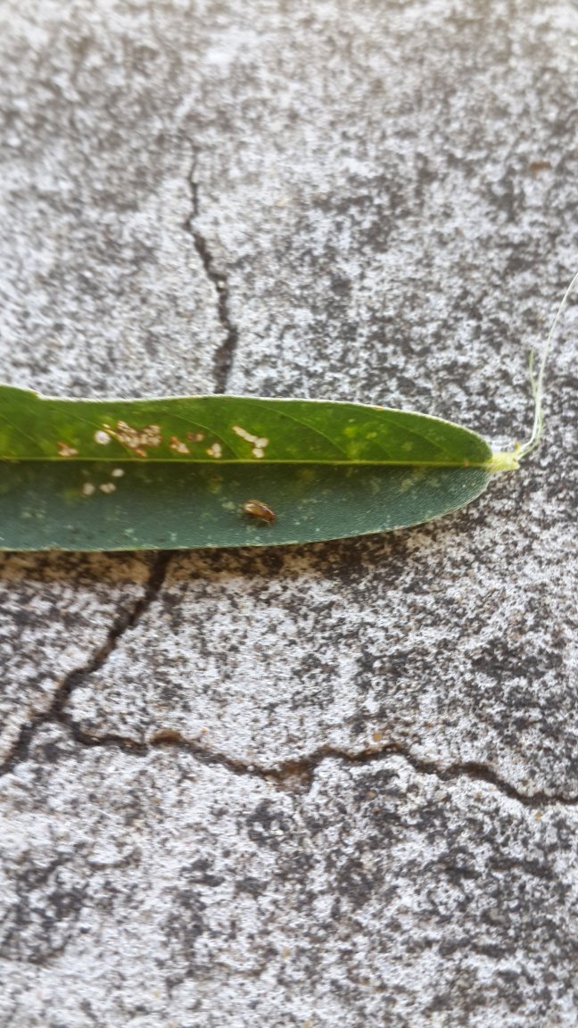 20171202_095329.jpg