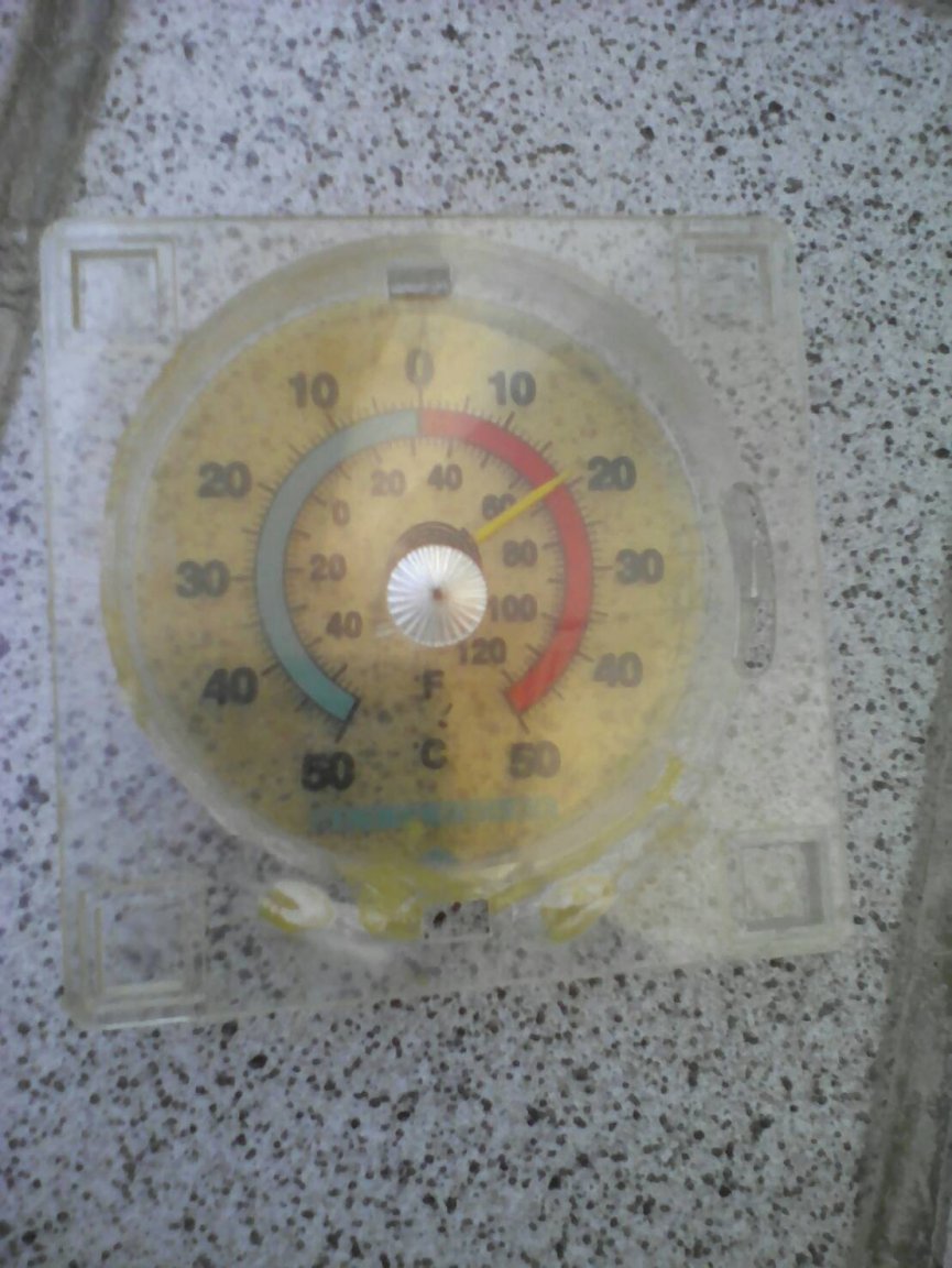 585.jpg