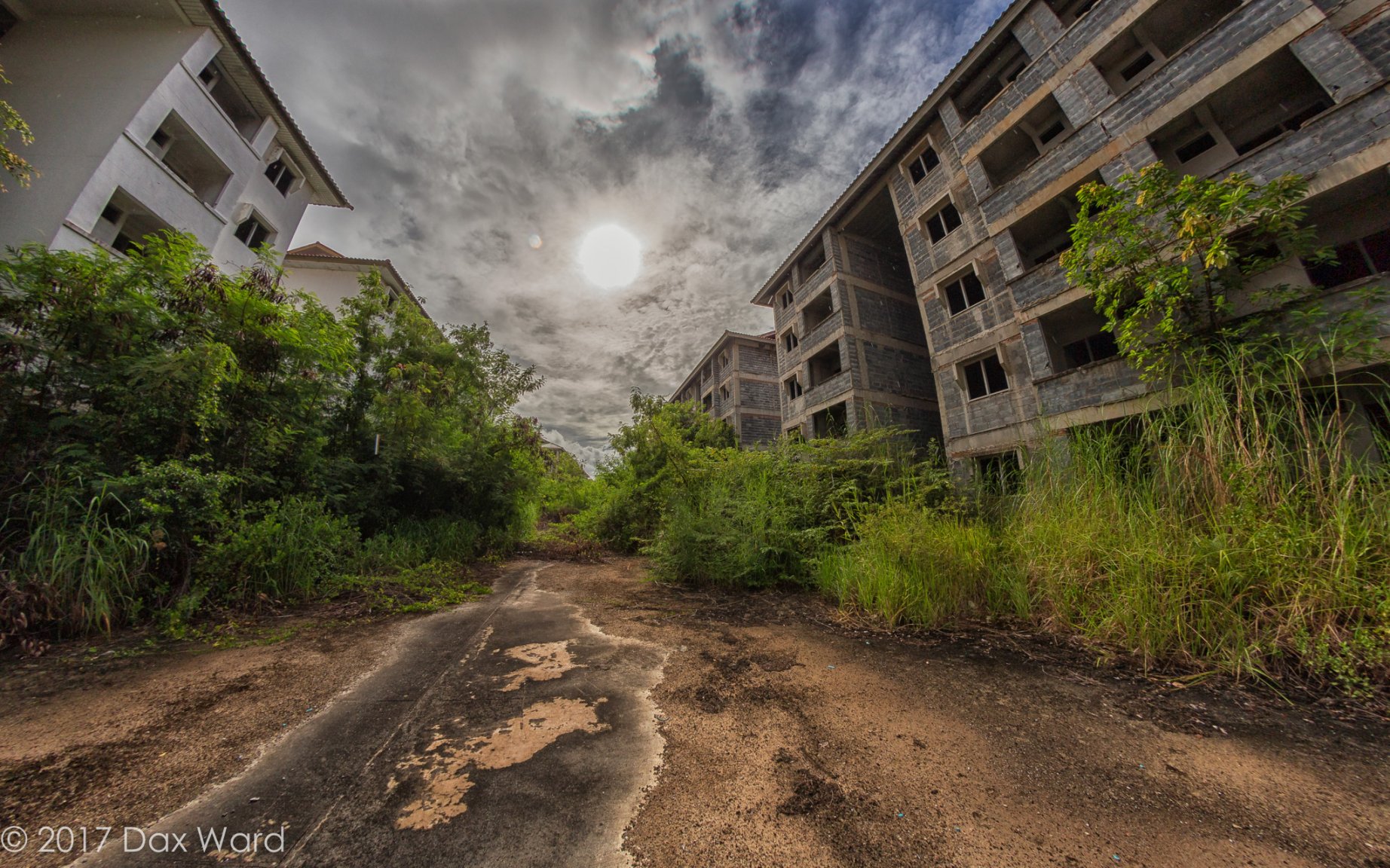 20170917dw245 copy.jpg