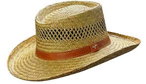 5a333cc682303_sunhat.jpg.60d1a0566cdeae5ba2407eab22862d17.jpg