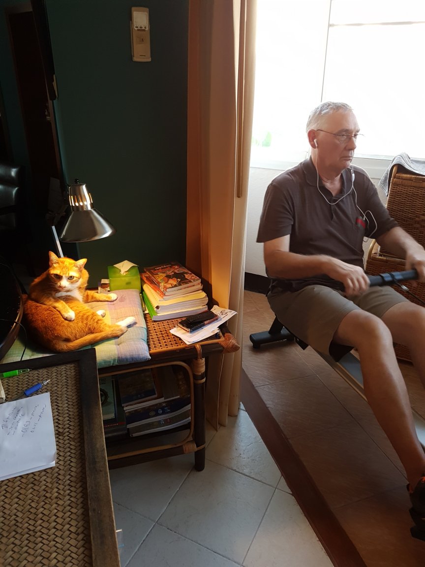 Mr4. Bitey under heat lamp.jpg