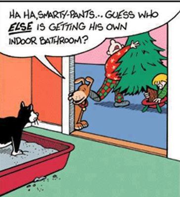 5a3f62953a005_xmasdogtree.jpg.5a759e9ecc5a388257f829dff78cb988.jpg